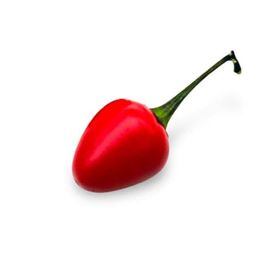 Costa Rican Chili Seeds - The Pepper Pantry (Formerly Marie Sharp's)